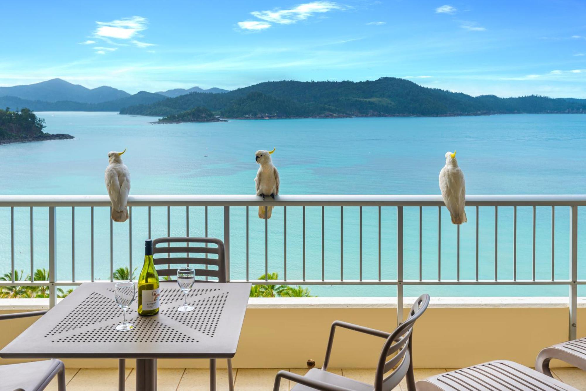 Whitsunday Apartments On Hamilton Island By Hiha Eksteriør billede